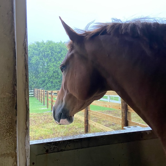 Meet your Posher, Kiersten - Picture 1 of 1